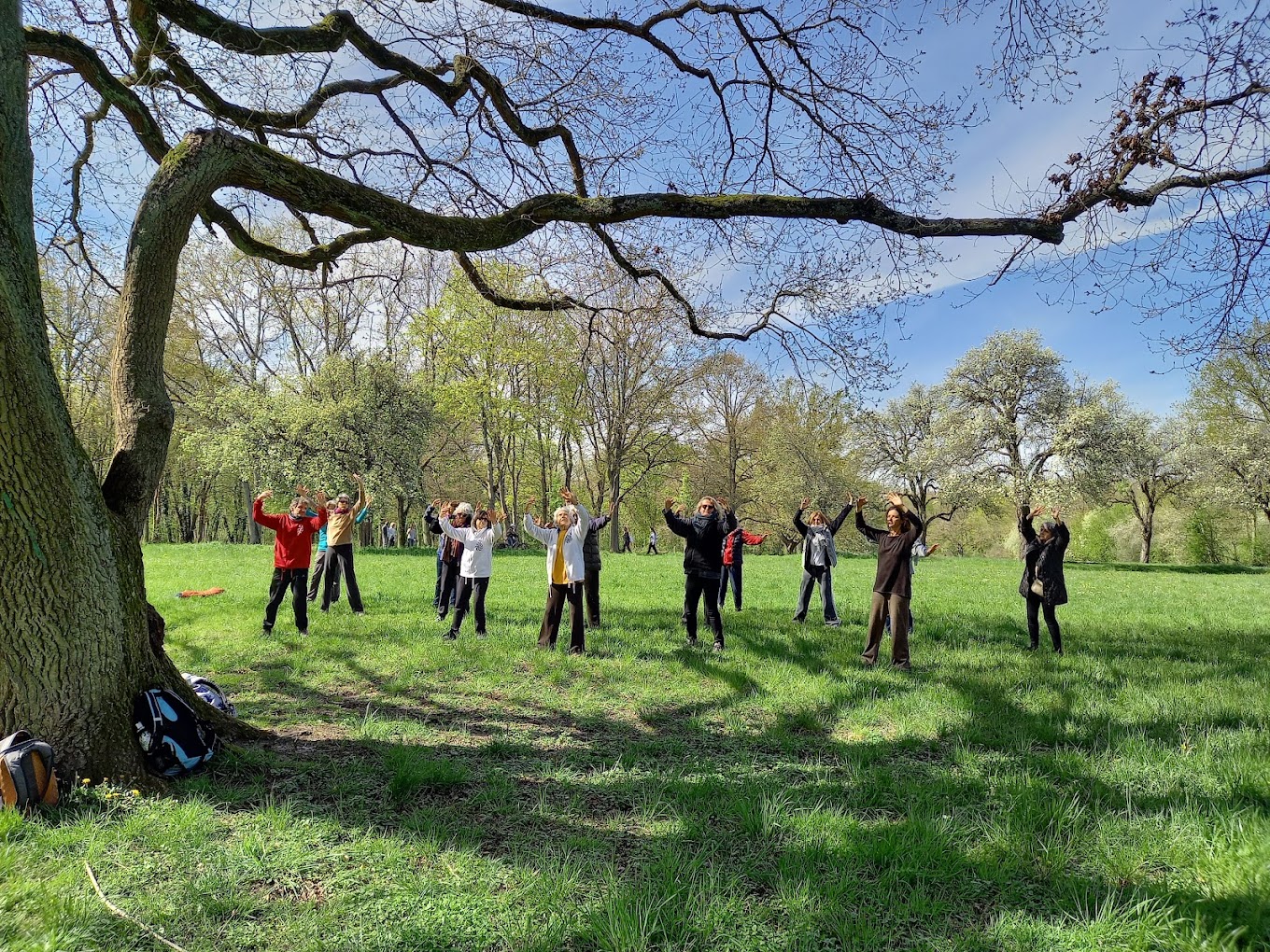 Qi Gong - Maison de Quartier du Clos d'Arcy 2024